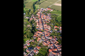 Luftbild von Dorf - Ansicht am Rande von landwirtschaftlichen Feldern und Nutzflächen in Oberhausen im Bundesland Rheinland-Pfalz, Deutschland