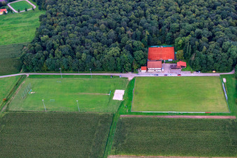 Luftbild von Sportplätze des TSV 1908 Freckenfeld im Bundesland Rheinland-Pfalz, Deutschland