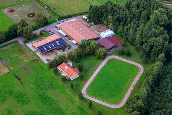 Islandpferde-Gestüt Bienwald in Freckenfeld im Bundesland Rheinland-Pfalz, Deutschland aus der Luft