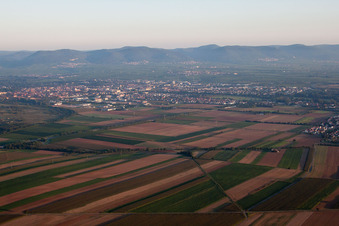 Landau von Südosten in Landau in der Pfalz im Bundesland Rheinland-Pfalz, Deutschland