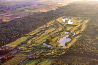 Golfclub Dreihof am Morgen in Essingen im Bundesland Rheinland-Pfalz, Deutschland