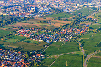 Dorfansicht aus Nordosten im Ortsteil Dammheim in Landau in der Pfalz im Bundesland Rheinland-Pfalz, Deutschland