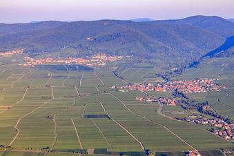 Ortsansicht von Osten Im Hintergrund Burrweiler am Haardtrand des Pfälzerwalds im Morgenlicht in Hainfeld im Bundesland Rheinland-Pfalz, Deutschland