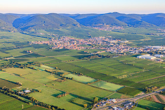 Stadtansicht von Südosten Im Hintergrund St. Martin am Haardtrand des Pfälzerwalds im Morgenlicht in Edenkoben im Bundesland Rheinland-Pfalz, Deutschland