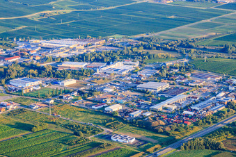 Industriegebiet Industriering im Morgenlicht in Edenkoben im Bundesland Rheinland-Pfalz, Deutschland