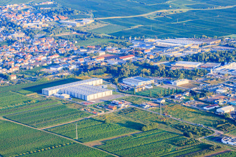 Industriegebiet Industriering im Morgenlicht mit ArcelorMittal SSC Deutschland GmbH, Niederlassung Edenkoben und Bilfinger Engineering & Maintenance GmbH - Standort Edenkoben im Bundesland Rheinland-Pfalz
