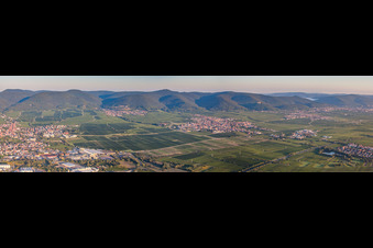 Panorama Perspektive Felder einer Weinbergs- Landschaft der Winzer- Gebiete in Maikammer im Bundesland Rheinland-Pfalz, Deutschland