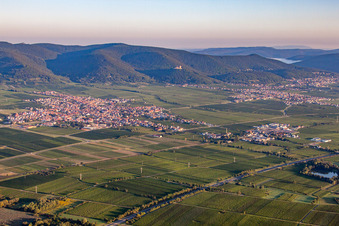 Dorf - Ansicht am Rande von Weinbergen in Maikammer im Bundesland Rheinland-Pfalz, Deutschland
