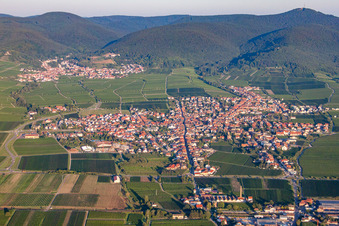 Luftbild von Dorf - Ansicht am Rande von Weinbergen in Maikammer im Bundesland Rheinland-Pfalz, Deutschland