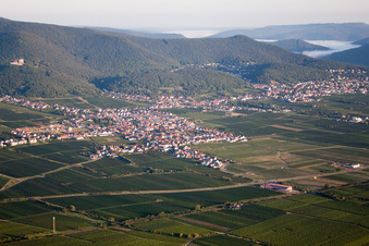 Ortsteil Diedesfeld in Neustadt an der Weinstraße im Bundesland Rheinland-Pfalz, Deutschland von oben