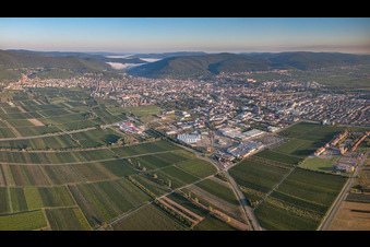 Panorama in Neustadt an der Weinstraße im Bundesland Rheinland-Pfalz, Deutschland