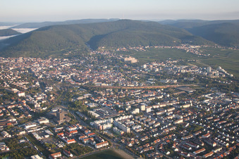 Branchweiler in Neustadt an der Weinstraße im Bundesland Rheinland-Pfalz, Deutschland