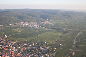 Ortsteil Königsbach in Neustadt an der Weinstraße im Bundesland Rheinland-Pfalz, Deutschland