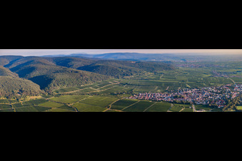 Panorama vom Ortsbereich und der Umgebung in Deidesheim im Bundesland Rheinland-Pfalz, Deutschland