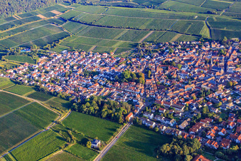 Habergartenstr in Deidesheim im Bundesland Rheinland-Pfalz, Deutschland
