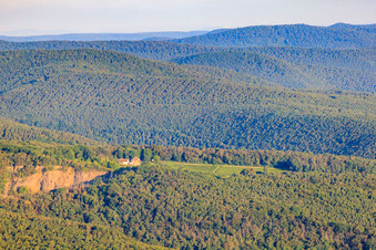 Basaltsteinbrüche bei Wachenheim und Weingut Odinstal in Wachenheim an der Weinstraße im Bundesland Rheinland-Pfalz, Deutschland