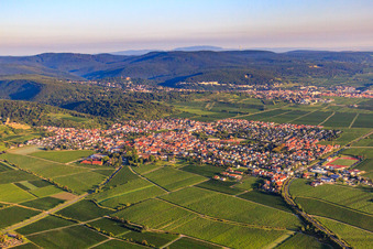 Winzerdorf von Süden am Haardtrand des Pfälzerwalds im Morgenlicht in Wachenheim an der Weinstraße im Bundesland Rheinland-Pfalz, Deutschland