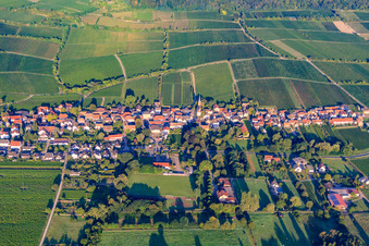 Winzerdorf vor den Weinlagen Jesuitenmantel und Forster Pechstein am Haardtrand des Pfälzerwalds im Morgenlicht in Forst an der Weinstraße im Bundesland Rheinland-Pfalz, Deutschland