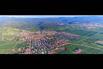 Stadtansicht aus Osten im Morgenlicht in Wachenheim an der Weinstraße im Bundesland Rheinland-Pfalz, Deutschland