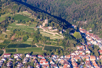 Luftbild von Ruine und Mauerreste der ehemaligen Burganlage Wachtenburg (Ruine "Burg Wachenheim") in Wachenheim an der Weinstraße im Bundesland Rheinland-Pfalz, Deutschland