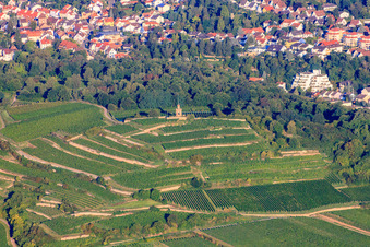 Flaggenturm Bad Dürkheim über terrassierten Weinbergen im Ortsteil Seebach im Bundesland Rheinland-Pfalz, Deutschland