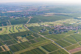 Luftbild von Dackenheim,Golfclub Deutsche Weinstraße im Bundesland Rheinland-Pfalz, Deutschland