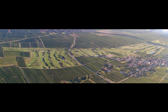 Panorama des Golfplatz Golfgarten Deutsche Weinstraße in Dackenheim im Bundesland Rheinland-Pfalz, Deutschland