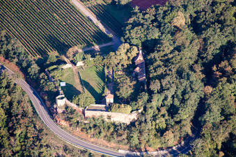 Burganlage der Veste Battenberg im Ortsteil Neuleiningen-Tal in Battenberg (Pfalz) im Bundesland Rheinland-Pfalz, Deutschland