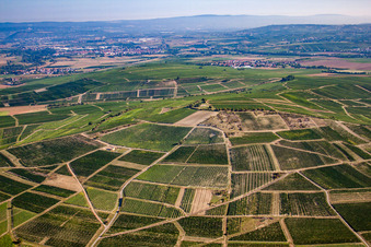 Weingut Johanneshof /Korell am Bosenberg in Pfaffen-Schwabenheim im Bundesland Rheinland-Pfalz, Deutschland