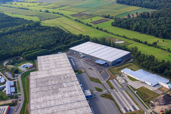 Luftaufnahme von ZUFALL logistics group - Niederlassung Kandel und  STS Group im Gewerbegebiet Horst im Ortsteil Minderslachen im Bundesland Rheinland-Pfalz, Deutschland