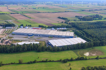 Drohnenbild von ZUFALL logistics group - Niederlassung Kandel und  STS Group im Gewerbegebiet Horst im Ortsteil Minderslachen im Bundesland Rheinland-Pfalz, Deutschland