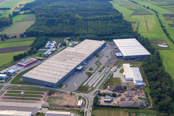 Luftbild von ZUFALL logistics group - Niederlassung Kandel und  STS Group im Gewerbegebiet Horst im Ortsteil Minderslachen im Bundesland Rheinland-Pfalz, Deutschland