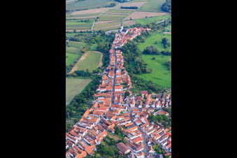 Hinterstädel von Norden in Jockgrim im Bundesland Rheinland-Pfalz, Deutschland aus der Luft