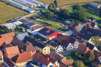 Landwirtschaftlicher Betrieb in Minfeld im Bundesland Rheinland-Pfalz, Deutschland