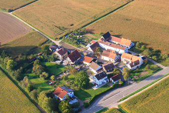Luftbild von Ortsteil Welschhof in Freckenfeld im Bundesland Rheinland-Pfalz, Deutschland