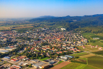 Luftbild von Stadtansicht aus Nordosten im Ortsteil Pleisweiler in Bad Bergzabern im Bundesland Rheinland-Pfalz, Deutschland