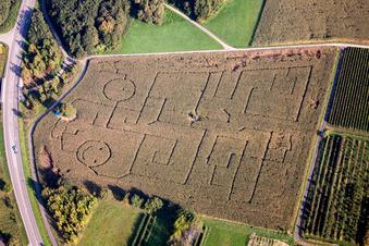 Irrgarten - Labyrinth mit den Umrissen von Smileys auf einem Feld in Göcklingen im Bundesland Rheinland-Pfalz, Deutschland