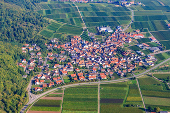 Winzerort zu Füßen der Ruine Madenburg in Eschbach im Bundesland Rheinland-Pfalz, Deutschland