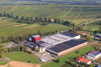 Winzergenossenschaft Deutsches Weintor eG in Ilbesheim bei Landau im Bundesland Rheinland-Pfalz, Deutschland