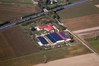 Eierfarm in Erlenbach bei Kandel im Bundesland Rheinland-Pfalz, Deutschland von oben