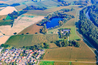 Luftaufnahme von Maislabyrinth Seehof in Leimersheim im Bundesland Rheinland-Pfalz, Deutschland