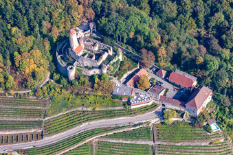 Burg Hornberg bei Neckarzimmern im Bundesland Baden-Württemberg, Deutschland