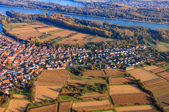 Dammstr in Neuburg am Rhein im Bundesland Rheinland-Pfalz, Deutschland