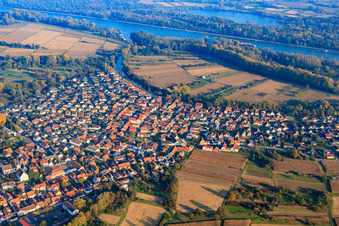 Dorf am Neuburger Altrhein in Neuburg am Rhein im Bundesland Rheinland-Pfalz, Deutschland