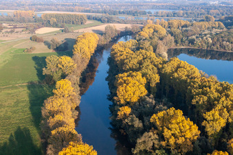 Hagenbacher Altrhein im Ortsteil Maximiliansau in Wörth am Rhein im Bundesland Rheinland-Pfalz, Deutschland