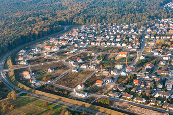 Forstlandallee in Jockgrim im Bundesland Rheinland-Pfalz, Deutschland von oben gesehen