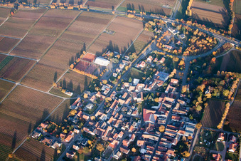 Walsheim im Bundesland Rheinland-Pfalz, Deutschland von oben gesehen