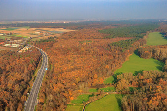 Otterbachniederung an der A65 in Kandel im Bundesland Rheinland-Pfalz, Deutschland