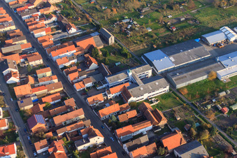 DBK Erweiterung in den Unterkandler Gärten in Kandel im Bundesland Rheinland-Pfalz, Deutschland aus der Drohnenperspektive