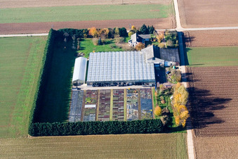 Drohnenbild von Sudetenhof in Steinweiler im Bundesland Rheinland-Pfalz, Deutschland